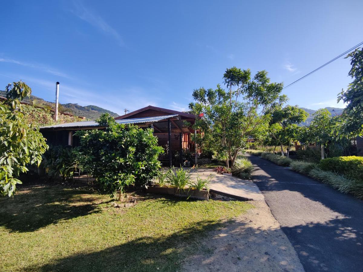 Apartment Baru Dota *