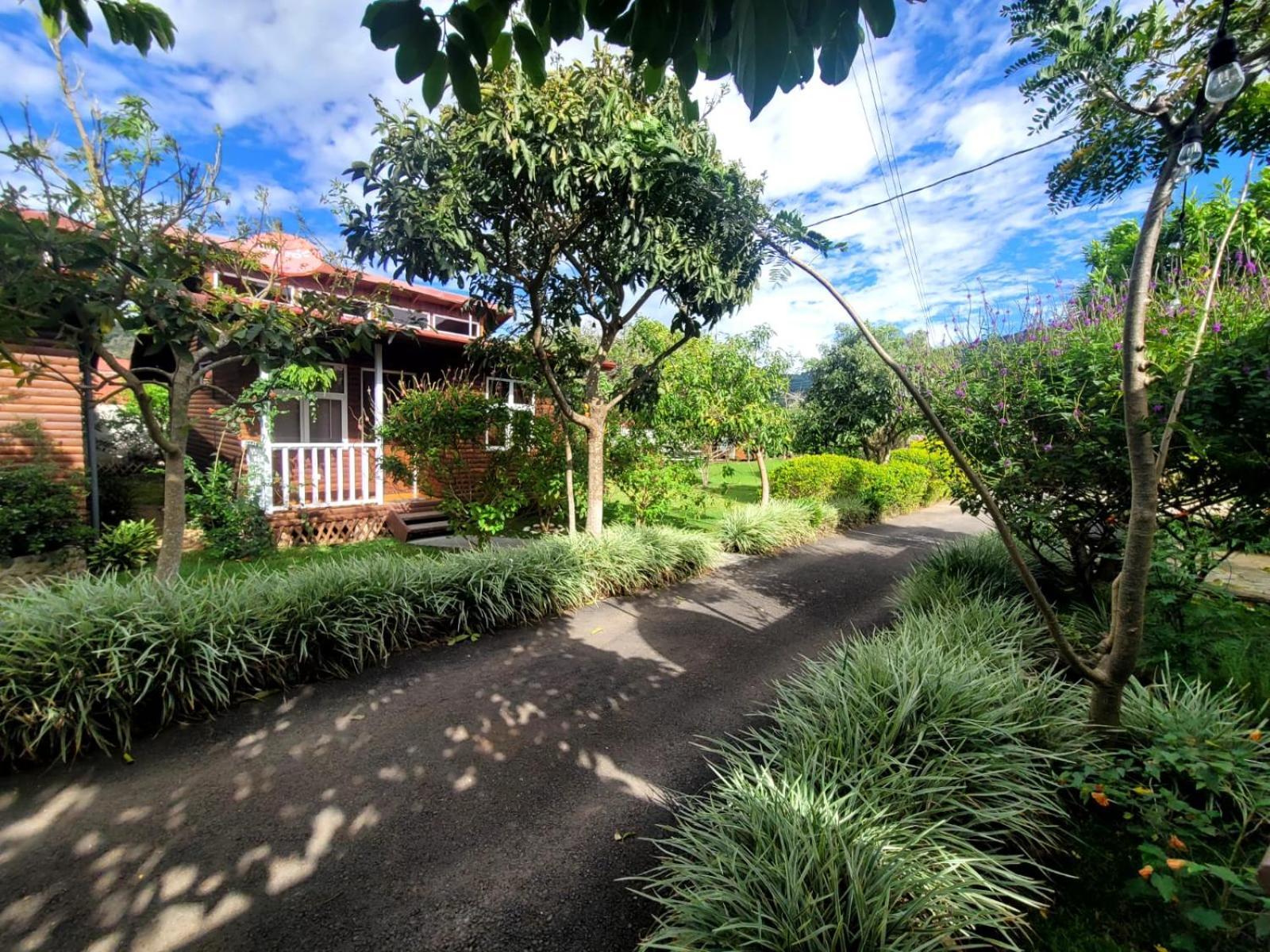 Apartment Baru Dota